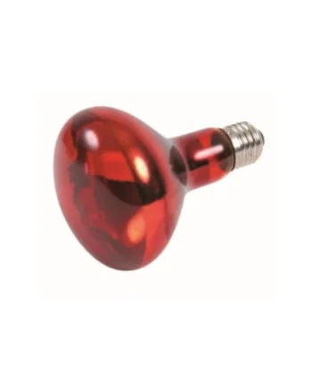 TRIXIE BALEAR SL