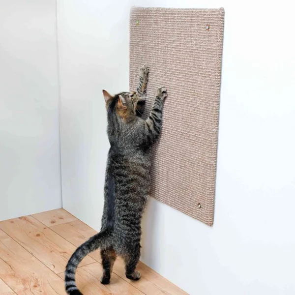 Trixie Tabla de Rascado XL para Gato