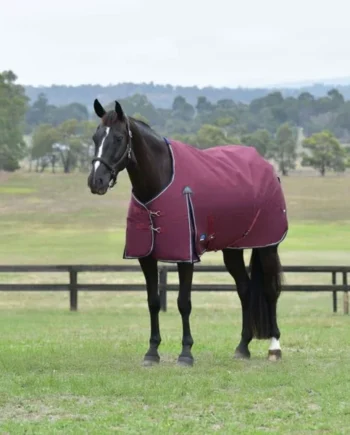WeatherBeeta ComFiTec Essential Turnout 0g Burdeos/Azul Marino