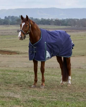 WeatherBeeta ComFiTec Plus Dynamic Turnout 0g Navy/Forest Green