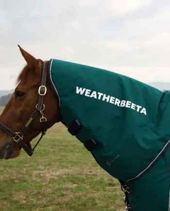 WeatherBeeta Cubrecuellos ComFiTec Plus Dynamic Turnout 220g Forest Green/Navy