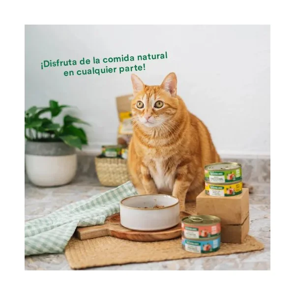 WILD BALANCE Lata para gatos Cazuela de Pollo con verduras 80gr