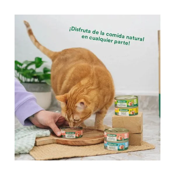 WILD BALANCE Lata para gatos Guiso del Pescador con Salmón y Cerdo 80gr